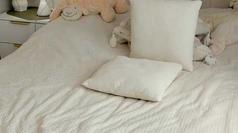 Media: Video of a soft, white, textured bedspread with a plush, rectangular pillow and a smaller square pillow in the center, surrounded by stuffed animals, including a large teddy bear, in a cozy, child-friendly room.