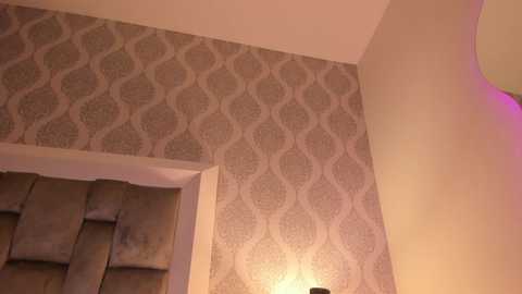 Media: Video of a partially remodeled room with beige damask wallpaper, a white door frame, exposed wooden beams, and a modern light fixture.