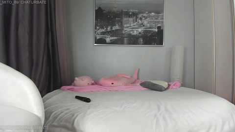 Video of a tidy bedroom with a white bed, gray curtains, a pink plush toy, and a black remote control, featuring a monochrome cityscape print on the wall.