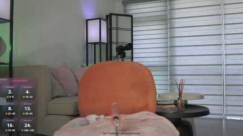 Video of a modern living room with a beige couch, orange chair, white blinds, and a black tripod camera.
