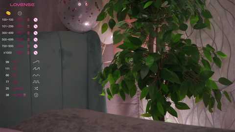 Video of a lush, green potted plant against a soft, pink curtain. The image features a digital overlay with a \"LOVE\" text and various icons, suggesting a dating app interface.