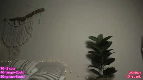 A video of a cozy bedroom corner with a macram\u00e9 wall hanging, a striped blanket, a green plant, and a string of fairy lights.