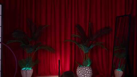 Video of a dimly-lit room with a vibrant red curtain backdrop. A potted palm tree, a decorative vase, and a black candle sit on a table. A black-framed mirror reflects part of the scene.
