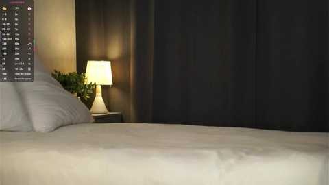 Media: A video of a minimalist bedroom featuring a neatly made bed with beige sheets, a white pillow, and a dark curtain backdrop. A small, dimly lit lamp with a white shade sits on a wooden nightstand, emitting a cozy glow.