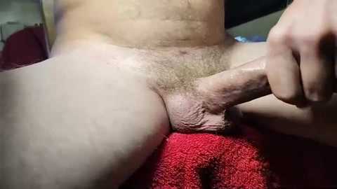 A video shows a close-up of a fair-skinned man's penis, which is erect and uncircumcised, with pubic hair. He is holding his penis with his right hand, and a red towel is visible in the background.