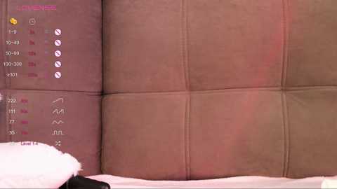 Media: A video of a plush, beige suede headboard with a soft, velvety texture. In the background, a digital display shows a \"Home Screen\" with icons, including a clock, music, and a video player.