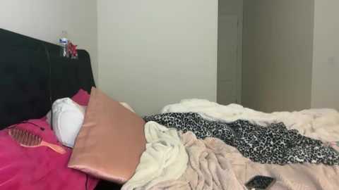 Media: Video of a messy bedroom with a black headboard, pink and beige pillows, a leopard-print blanket, and a cluttered nightstand.