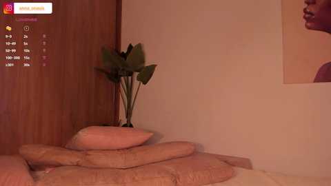 A video of a cozy bedroom corner with a wooden door, a potted plant, and a pile of beige pillows on a bed.