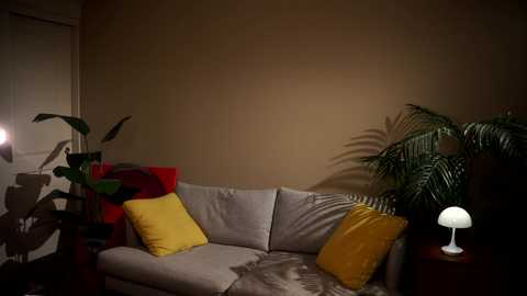 Video of a cozy living room with beige walls, a gray sectional sofa adorned with yellow and red pillows, a potted fern, and a white lamp on a wooden side table.
