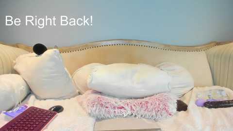 A video of a plush, white, cushioned sofa with a light blue wall background. The sofa is adorned with white pillows and a pink faux fur throw. A black remote control and a purple cell phone are placed on the sofa. Text reads \"Be Right Back!\