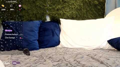 Video of a cozy bedroom scene with a white duvet, navy blue pillows, a plush rug, and a green hedge backdrop. A small black cat is visible in the foreground.