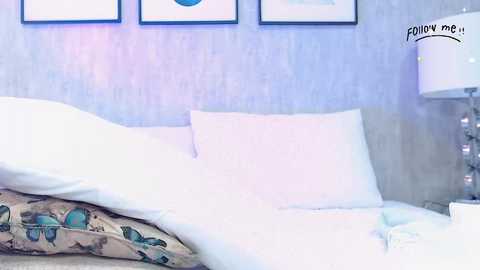 Video of a tidy, minimalist bedroom with a white bed, beige pillow, and butterfly-patterned duvet cover. The background features a light blue textured wallpaper and framed artwork.