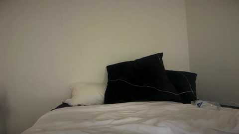 A video of a minimalist bedroom corner featuring a white bed with a black pillow and white pillowcase. The walls are plain white, and the room is dimly lit.