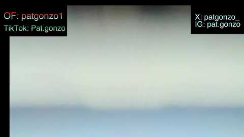 A digital screenshot from an online streaming platform shows a blurry, pale blue and greenish-gray background, with text in Italian and English indicating \"xpatgonzo\" and \"xpatgonzo (patreon).\