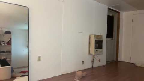 Video of a sparsely furnished, small apartment with a white wall, a mirror, a beige microwave, and a teddy bear on the wooden floor.