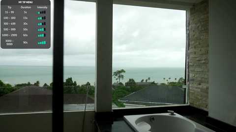 Media: Video of a modern bathroom with large windows showcasing a serene ocean view under cloudy skies. The bathroom features a sleek white bathtub and a dark countertop.