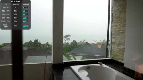 Video of a modern bathroom with a large, rectangular bathtub under a window overlooking a lush, green landscape with palm trees and a cloudy sky. A digital display shows water temperature settings on the left.
