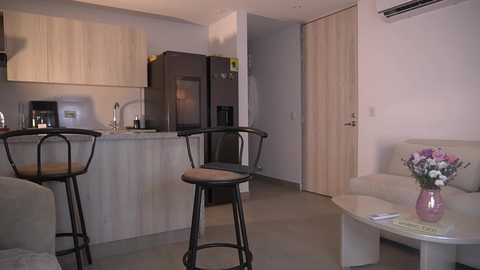 Video of a minimalist, modern apartment kitchen with white cabinets, black countertops, a stainless steel fridge, two black bar stools, and a beige sofa with a floral vase.