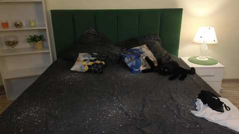 Video of a neatly made bed with a green upholstered headboard, gray speckled duvet, and decorative pillows. A black cat is resting on the bed. Nightstand with a white lamp and potted plants.