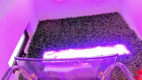 Video of a person lying on a dark, shaggy carpet with a white, fluffy blanket covering them. The scene is illuminated by a purple hue, creating a surreal, dream-like atmosphere.