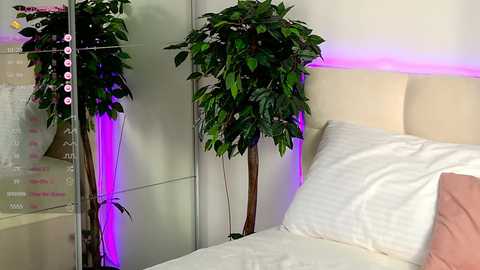 Video of a modern bedroom with white bedding, a light beige headboard, a tall green plant, and purple LED lighting.