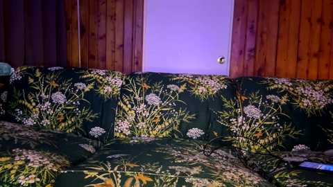 A video of a dark green sofa with floral patterns, against a backdrop of wooden paneling and a white door with a brass doorknob. The room is dimly lit, creating a cozy, vintage ambiance.