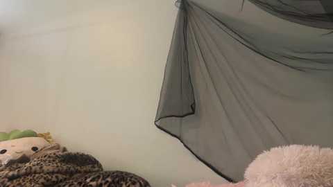 Video of a child's bedroom with a green net canopy hanging from the ceiling. A leopard-print blanket and a white fluffy pillow are visible on the bed. The walls are light beige.