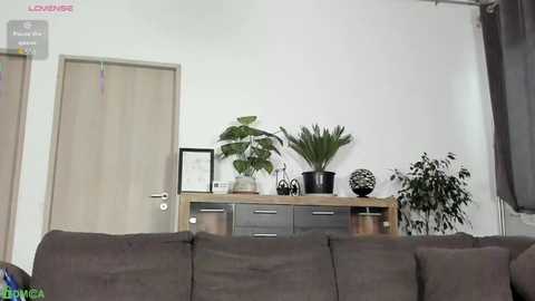 A video of a modern living room with a gray sofa, wooden door, white wall, and a black console table with green plants, a framed picture, and decorative items.