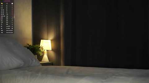 Media: Video of a dimly lit bedroom with a bed covered in white sheets, a small bedside table holding a green potted plant and a glowing lamp, and dark curtains covering the windows.