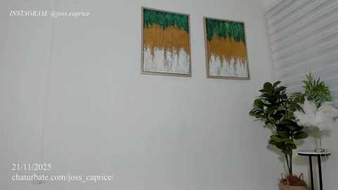 Video of a minimalist room with two abstract paintings in green and gold on a white wall, a potted plant, and a clock reading 21:15, capturing a calm, contemporary atmosphere.