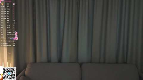Video of a dimly lit room with a grey sofa and a curtain backdrop. On the left, a screen displays a YouTube video of a pink cat with a chat feed below.