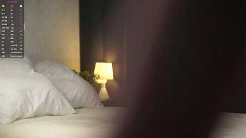 Media: A dimly lit video of a cozy bedroom featuring a white bed with neatly stacked pillows, a small table lamp, and a dark curtain in the background.