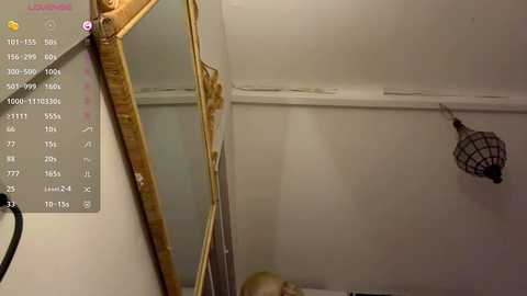 A video showing a cluttered, dimly lit room with a gold-framed mirror, a hanging birdcage, and a partially visible person in a white bed.