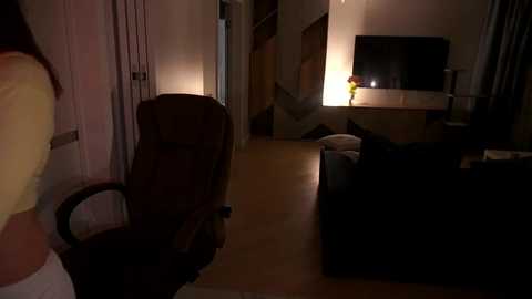 Video of a dimly lit living room with a TV, a dark couch, and a chair, partially obscured by shadows.
