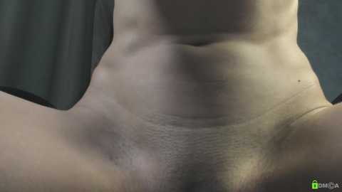 Video of a close-up view of a nude female torso, focusing on the abdomen and pubic area. The skin tone is light, with visible hair growth. The background is blurred, featuring dark fabric.