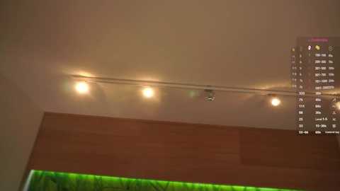 Video of a dimly lit room with a tall, brown wooden wall. A row of four glowing lights hangs from the ceiling. A digital clock with a red background displays time and date on the right. The ambiance is cozy and slightly blurred.