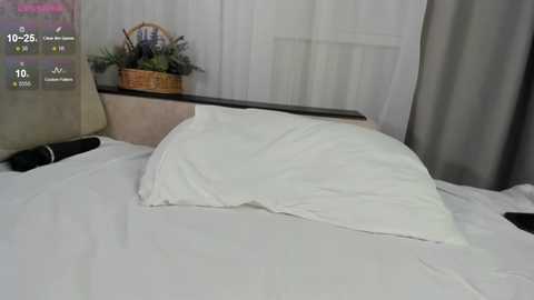 A video of a neatly made bed with a white duvet and pillow, a wicker basket with green plants on a window ledge, and a digital clock showing 19:25.