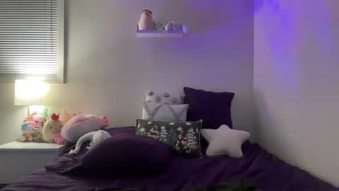 Video of a cozy bedroom with a purple bed, pillows, stuffed animals, and a star-shaped pillow. A white shelf holds a lamp and decorative items. Window blinds are partially open, allowing soft light to filter in.