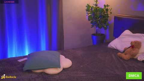 Video of a cozy, dimly lit bedroom with a plush turtle toy, a teddy bear, and a green plant on a gray bedspread.