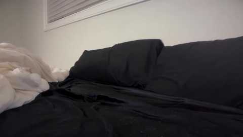 A video of a messy bed with black sheets and a white blanket, taken from a low angle, showing a cluttered, unmade state. The background includes a white wall with a window partially covered by blinds.