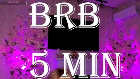 A video of a living room with a black TV mounted on a textured wall. The background features purple and pink lighting with butterfly decals. Text overlays read \"BRB 5 MIN\" in bold white letters.