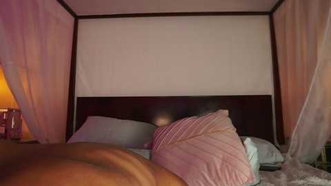 A video of a dimly-lit bedroom with a dark wooden headboard, white canopy curtains, and a bed with pink and white pillows.