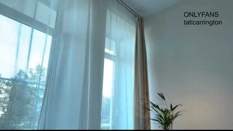 A video of a bright, minimalist room with large windows adorned with sheer curtains, allowing natural light to flood in. A potted plant sits on a small table in the foreground. Text in the upper right corner reads \"ONLYFANS taitaarniglot.\