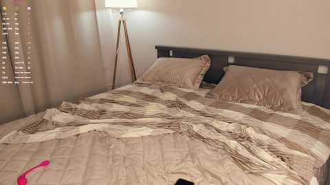 A video of a neatly made bed with beige bedding and pillows, a lamp with a white shade, and a pink vibrator on the floor.