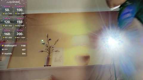 Video of a room with a blurred figure holding a flash camera, creating a starburst effect. Background includes a beige wall, a potted plant, and a small white lamp.