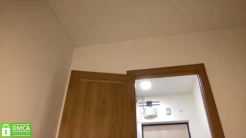 Video of a minimalist, modern room with a beige wall and wooden door. A ceiling fan with light hangs above a doorway leading to another room. The image features a DICA logo in the bottom left corner.