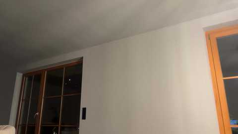 Video of a dimly lit bedroom wall with a wooden-framed glass door and a light-colored wooden door frame. The room's ceiling is painted white.