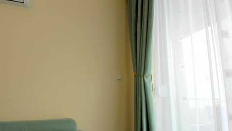 Video of a beige-walled room with a light green upholstered chair, a sheer white curtain, and a teal curtain partially open, revealing a balcony outside.