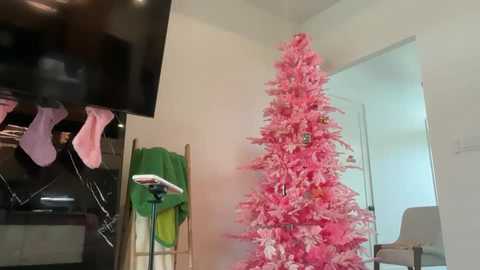 Video of a room with a pink Christmas tree, green chair, black TV, and pink slippers hanging from a hook.
