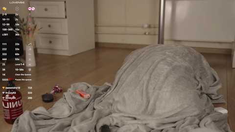 Video of a messy bedroom with a gray comforter, scattered toys, and a red fire extinguisher on the floor, alongside a white dresser and closet.